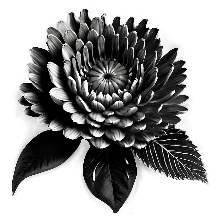 Monochrome Indie Flower Png 06252024