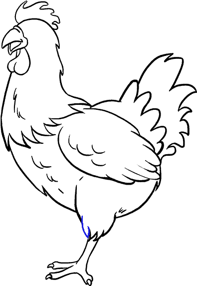 How To Draw Chicken - Chicken Drawing Easy, HD Png Download PNG with transparent background