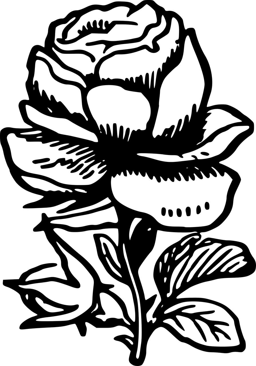 Monochrome_ Rose_ Illustration.png PNG image with a transparent background, free high-resolution download