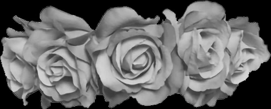 Monochrome_ Rose_ Trio