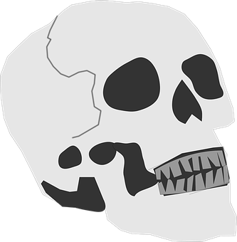 Monochrome Skull Illustration PNG with transparent background