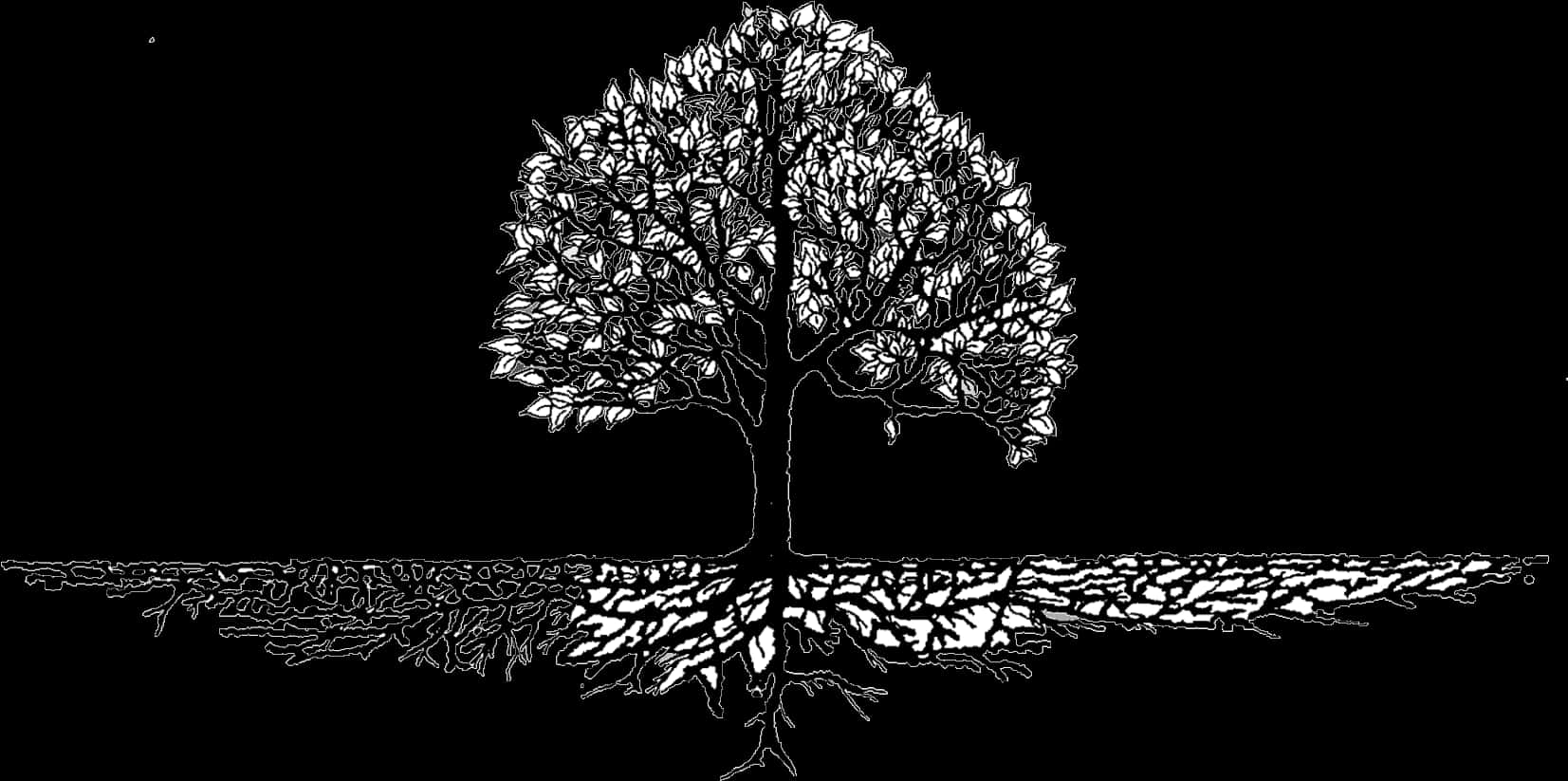 Monochrome_ Tree_ Silhouette_with_ Reflections PNG image with a transparent background, free high-resolution download