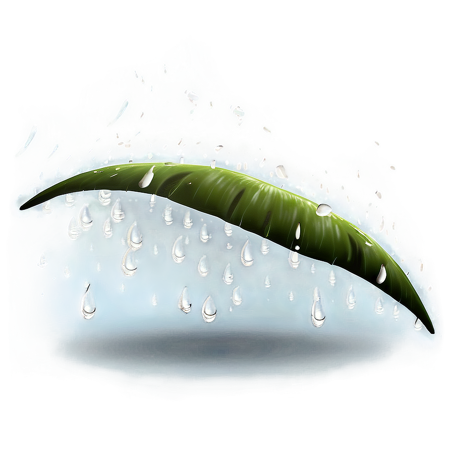 Monsoon Rain Png 8