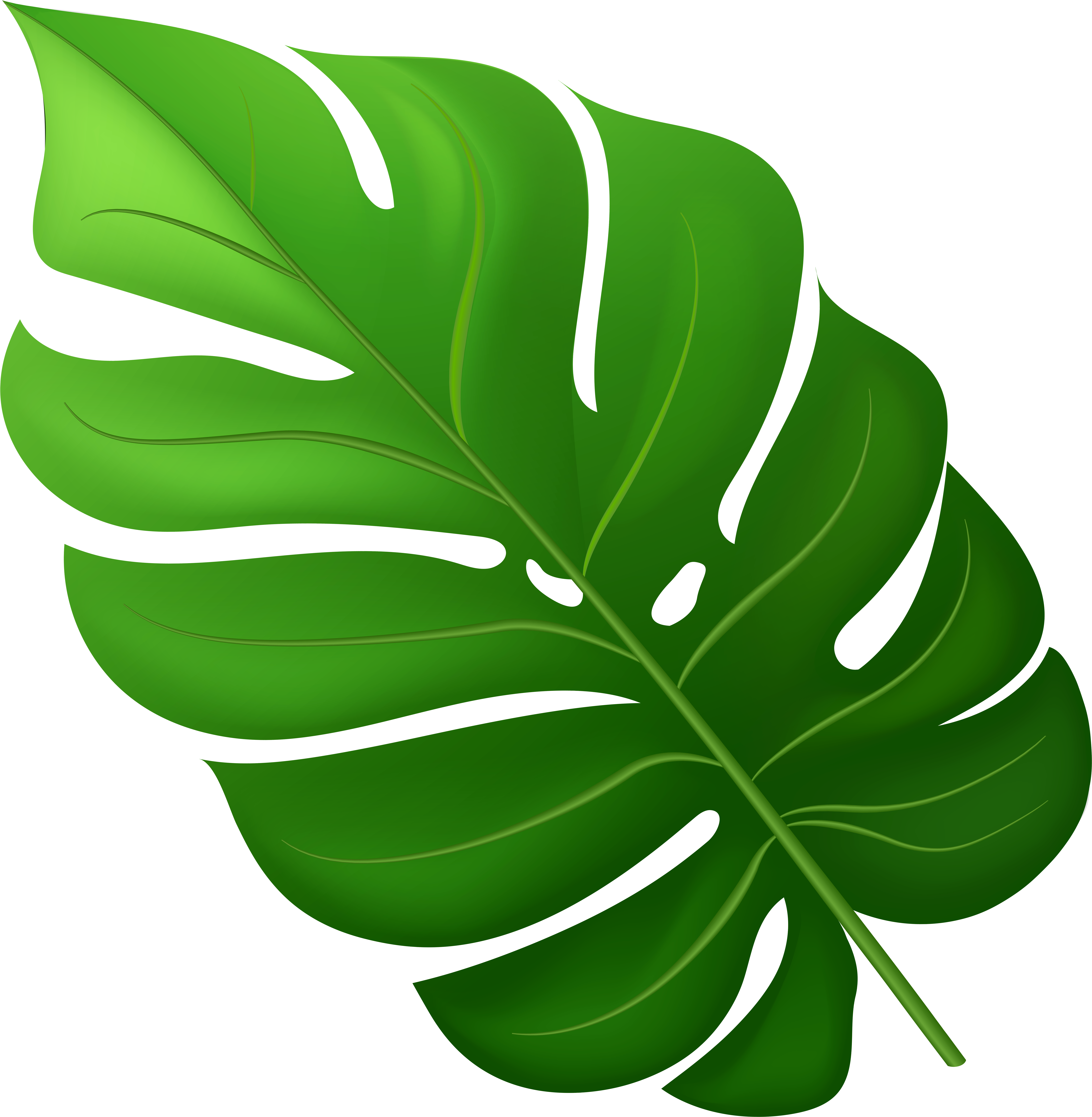 Monstera Deliciosa Leaf Illustration PNG with transparent background
