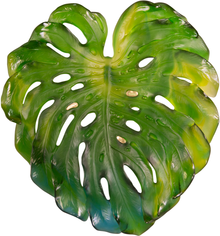 Monstera Deliciosa Leaf Isolated PNG with transparent background