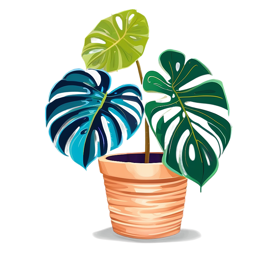 Monstera In Pot Drawing Png 31