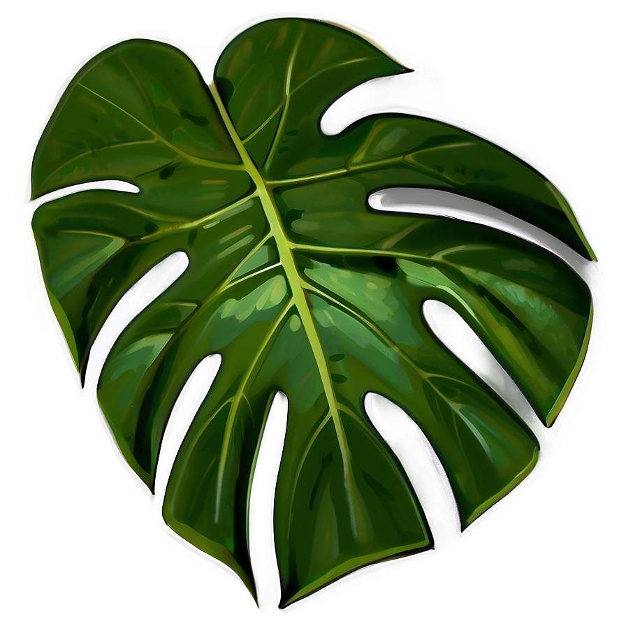 Monstera Leaf Closeup Png Nqq