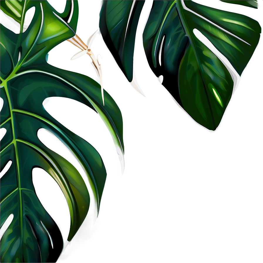 Monstera Leaf Design PNG 05232024 PNG with transparent background