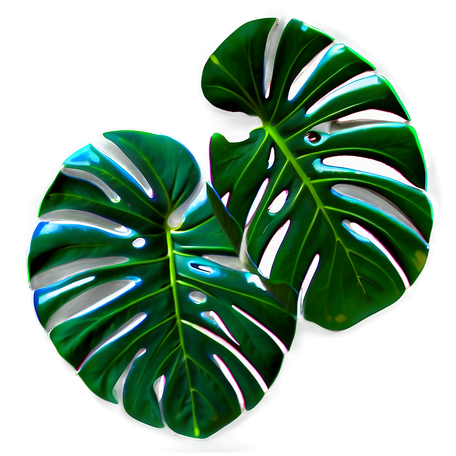 Monstera Leaf Pattern Png 06212024