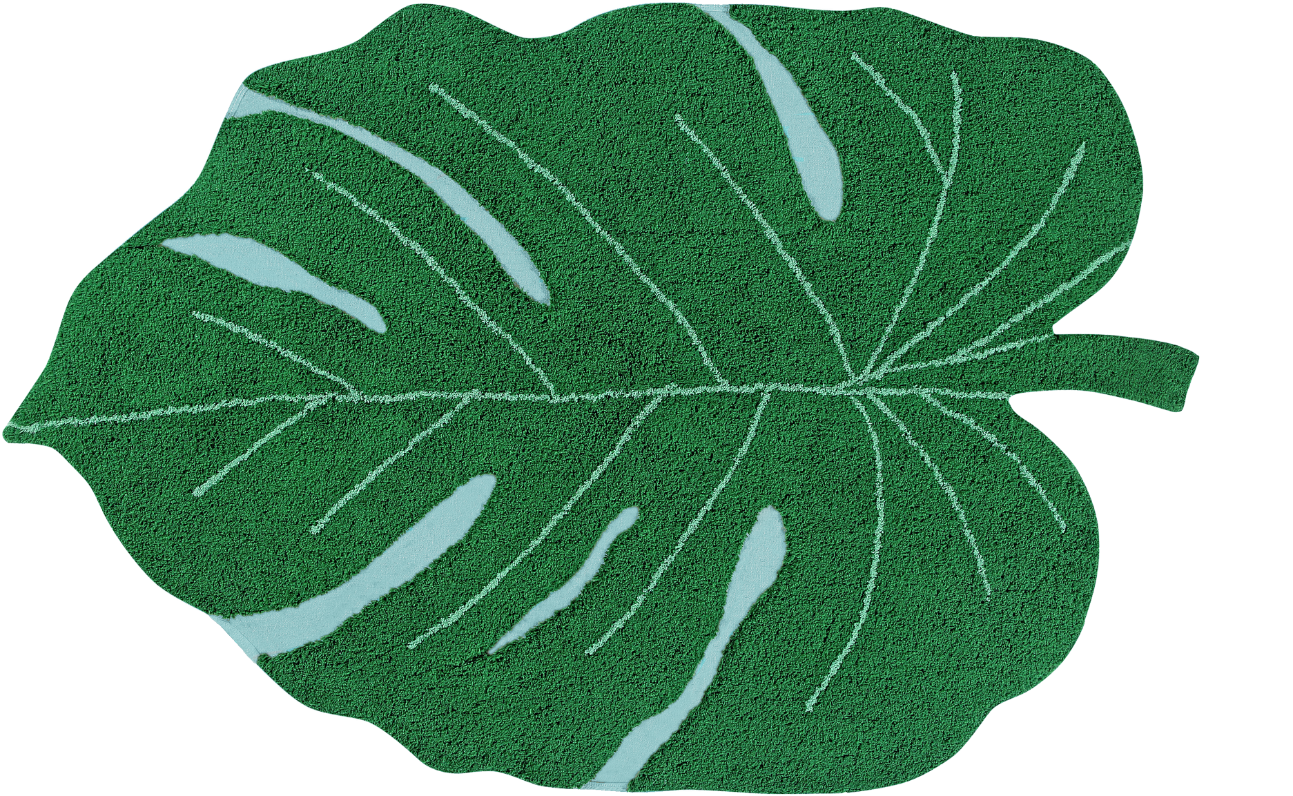 Monstera Leaf Texture PNG with transparent background