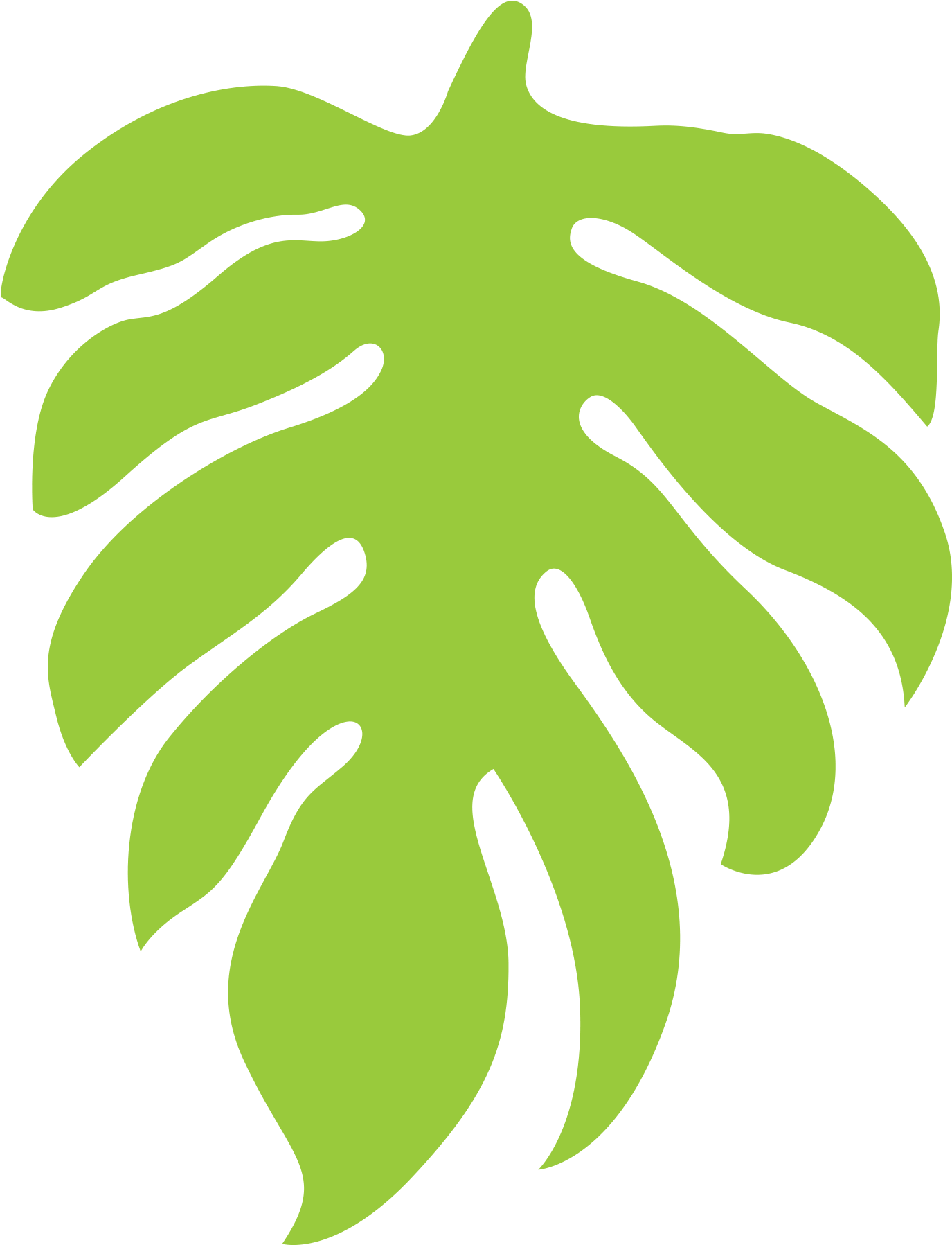 Monstera Leaf Vector Illustration PNG with transparent background