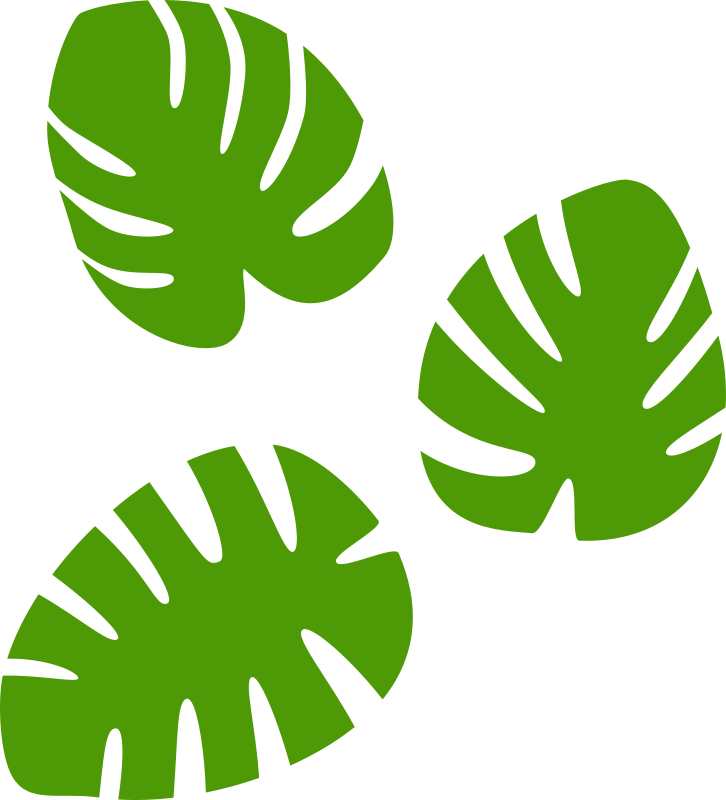 Monstera Leaves Pattern PNG with transparent background