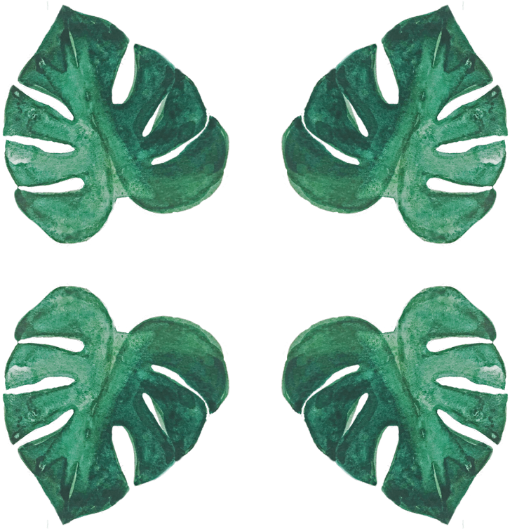 Monstera Leaves Pattern Watercolor PNG with transparent background