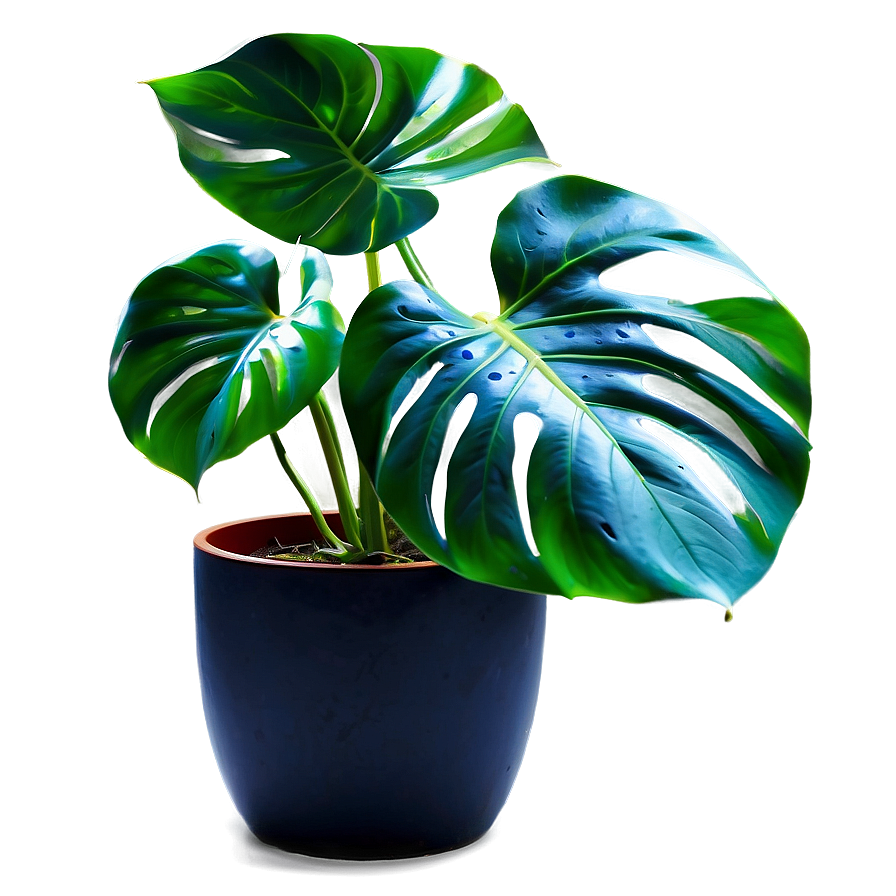 Monstera Plant In Living Room Png Axf