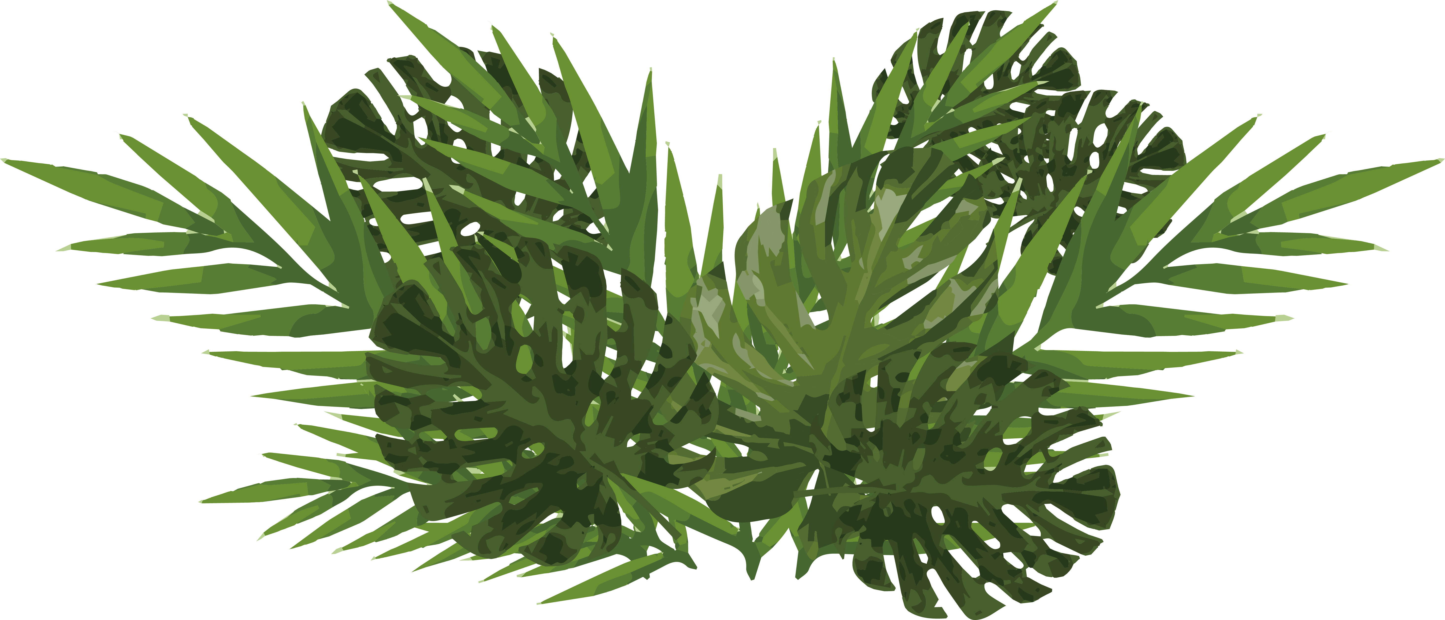 Monsteraand Palm Leaves Illustration PNG with transparent background