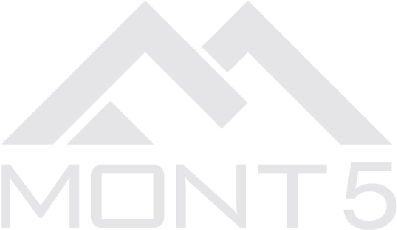 Mont5 Logo Blue Triangles