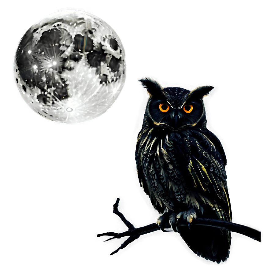 Moon And Owl Silhouette Png Ciy32