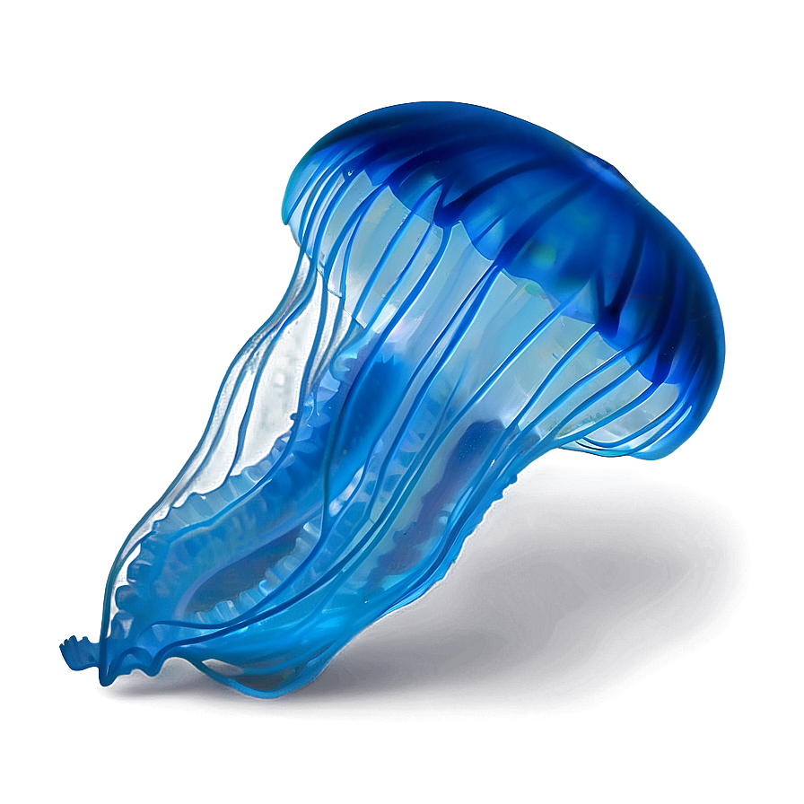 Moon Jelly In Deep Blue Png Amc2