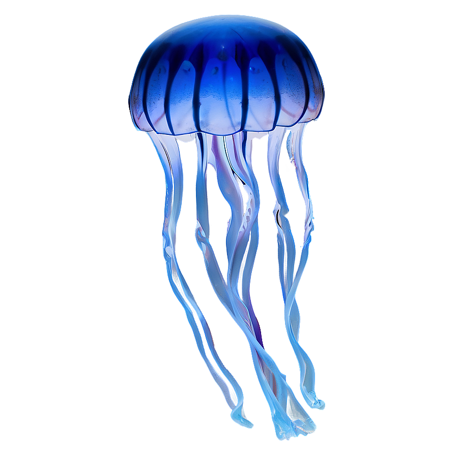 Moon Jelly In Deep Blue Png Wwg