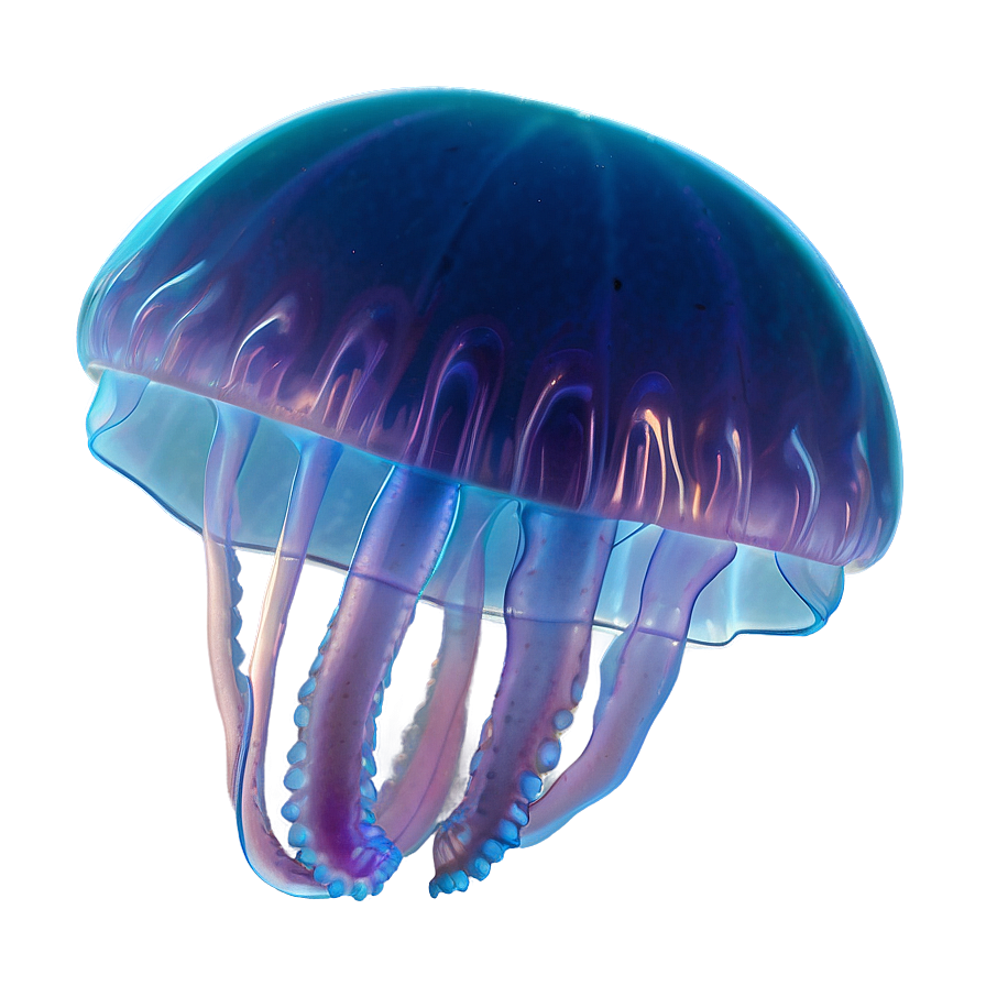 Moon Jelly With Ethereal Glow Png Elm