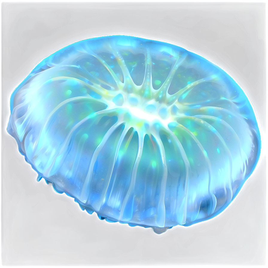 Moon Jelly With Glow Effect Png 06292024