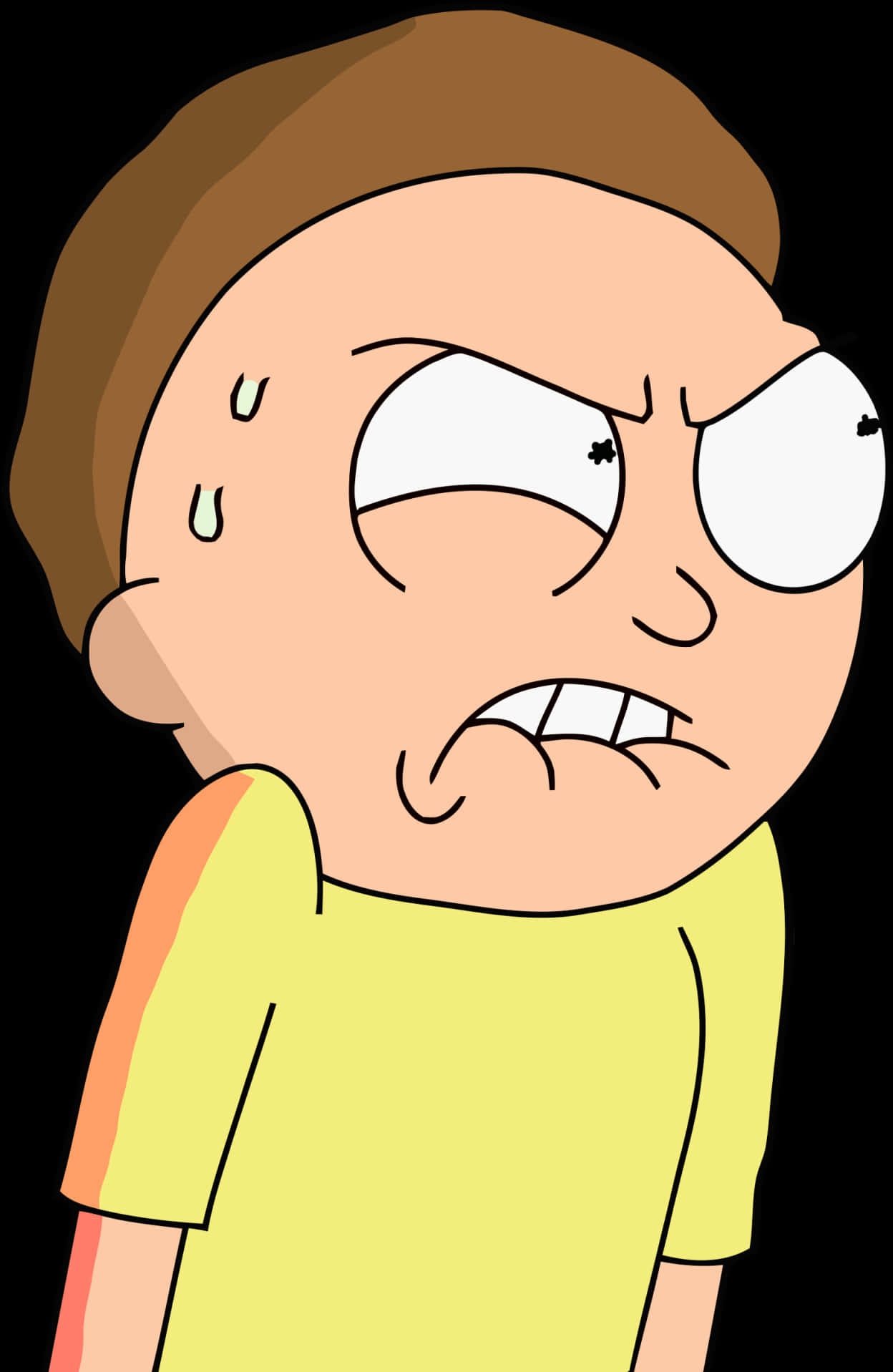 Morty Smith Annoyed Expression