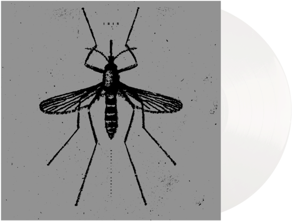 Isis Mosquito, HD Png Download PNG with transparent background