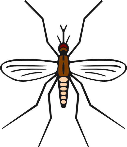 Mosquito In Brown Color Svg Clip Arts - Mosquito Black And White Clipart, HD Png Download PNG with transparent background