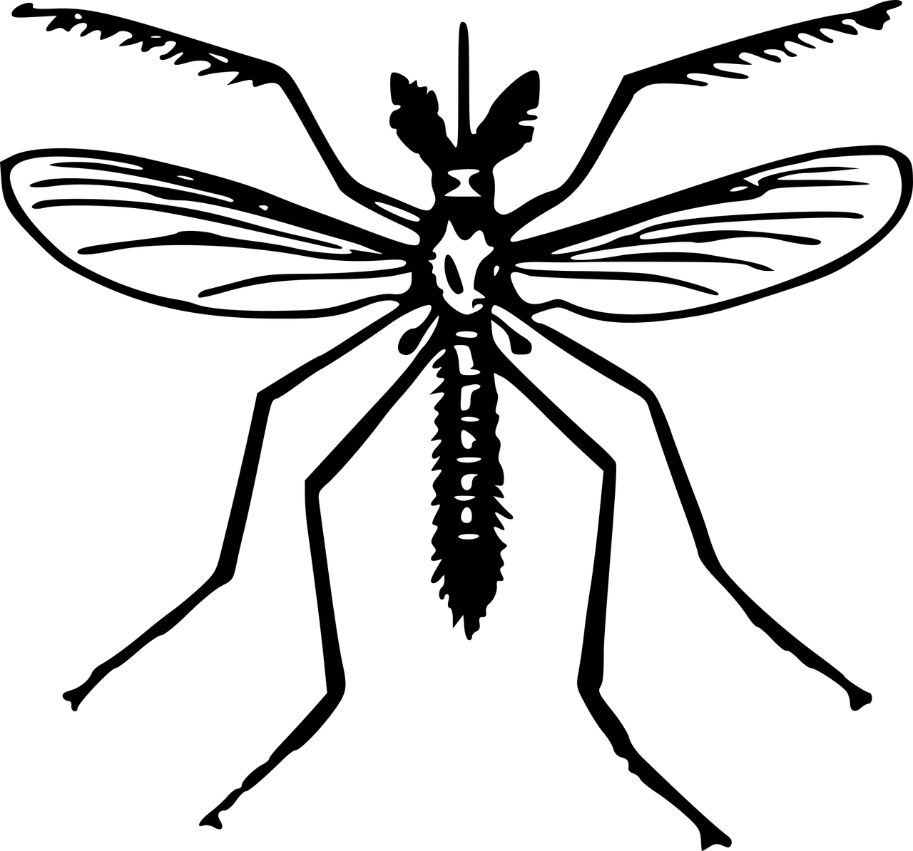 Clip Art Of Mosquito, HD Png Download PNG with transparent background