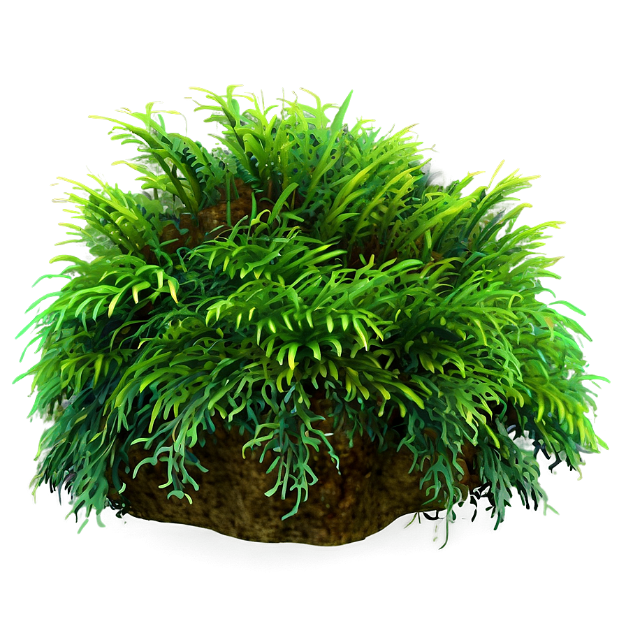 Mossy Bush Png Gaj39