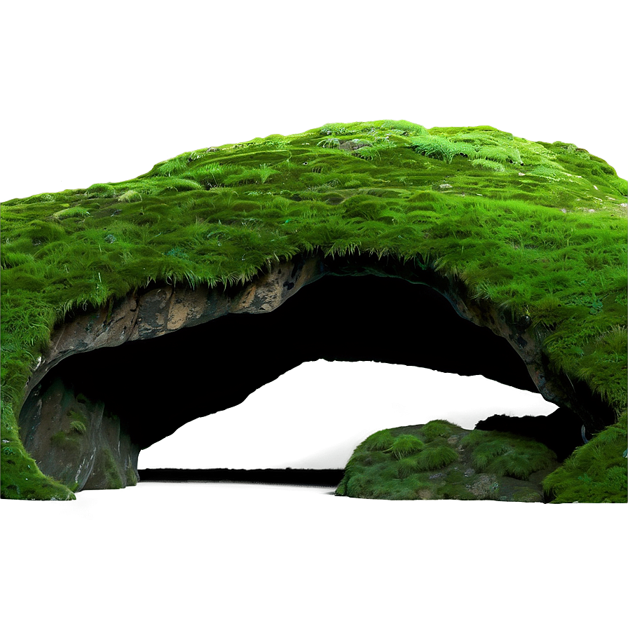 Mossy Forest Cave Png Oey28