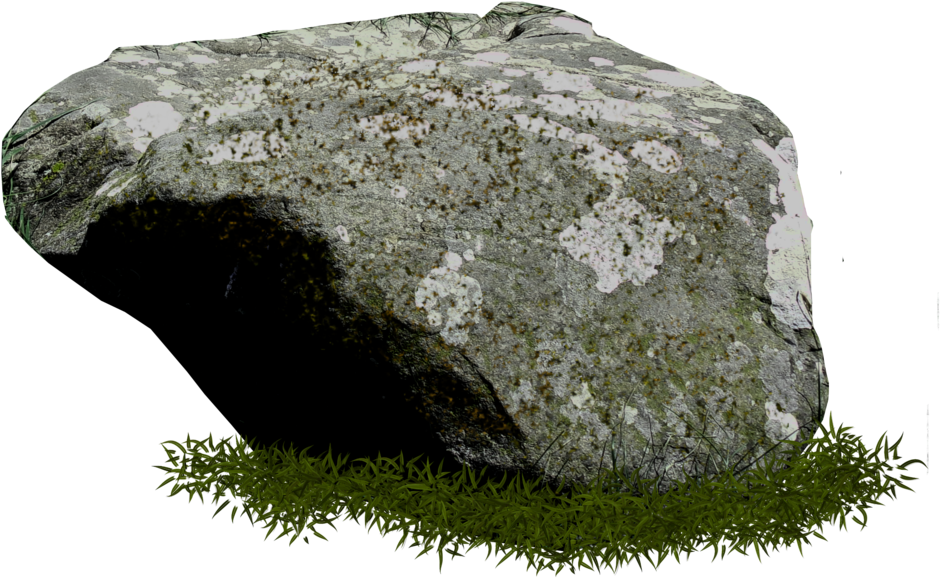 Mossy_ Rock_with_ Grass_ Texture