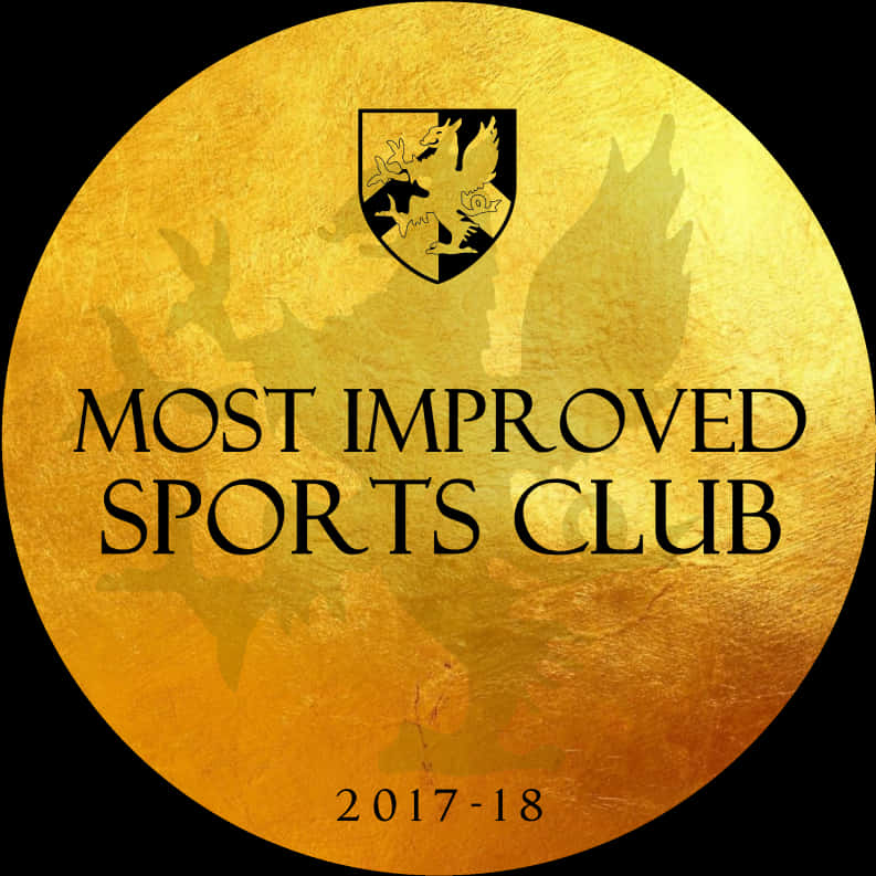 Most Improved Sports Club Award20172018