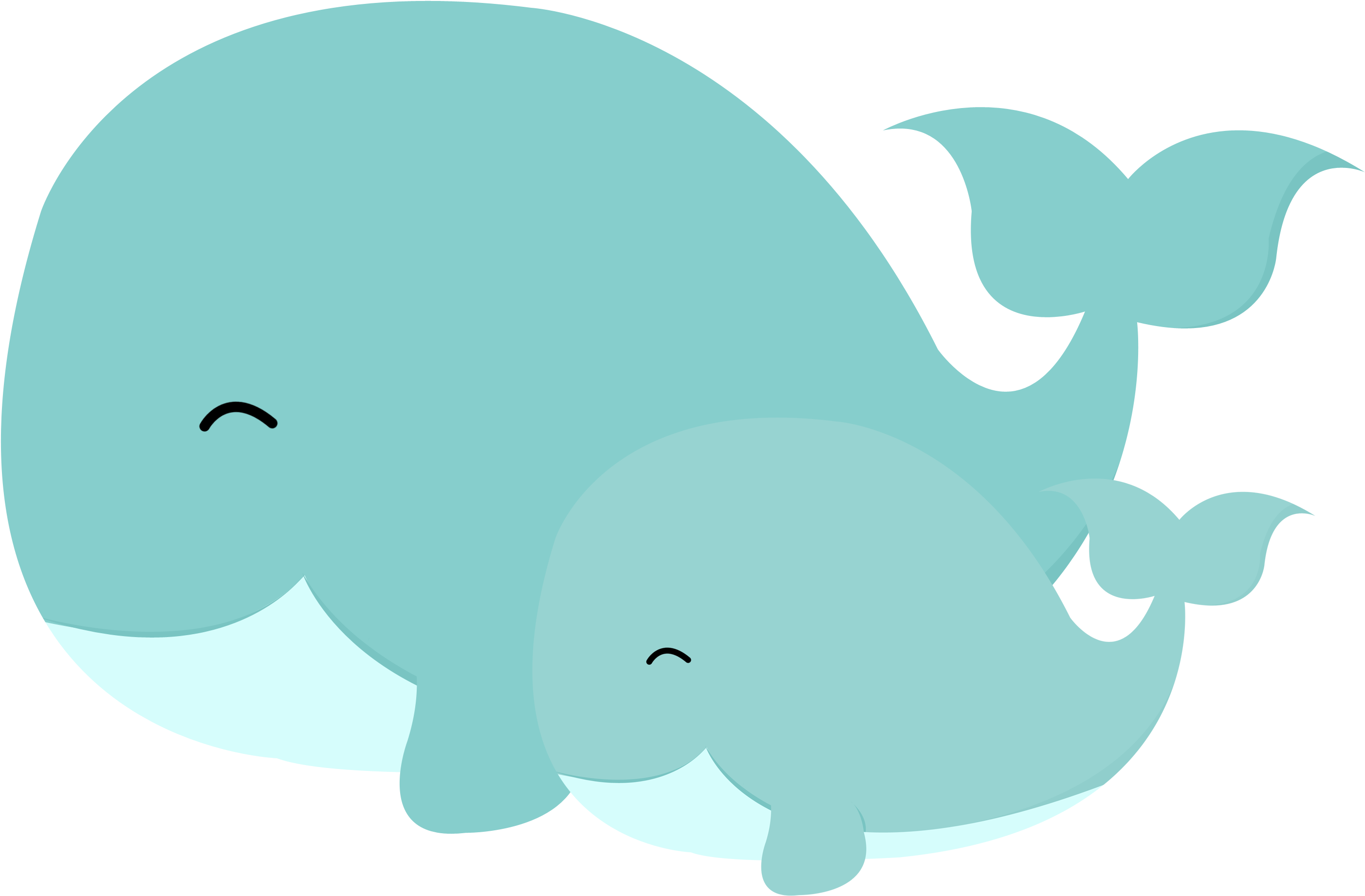 Motherand Baby Whale Cartoon