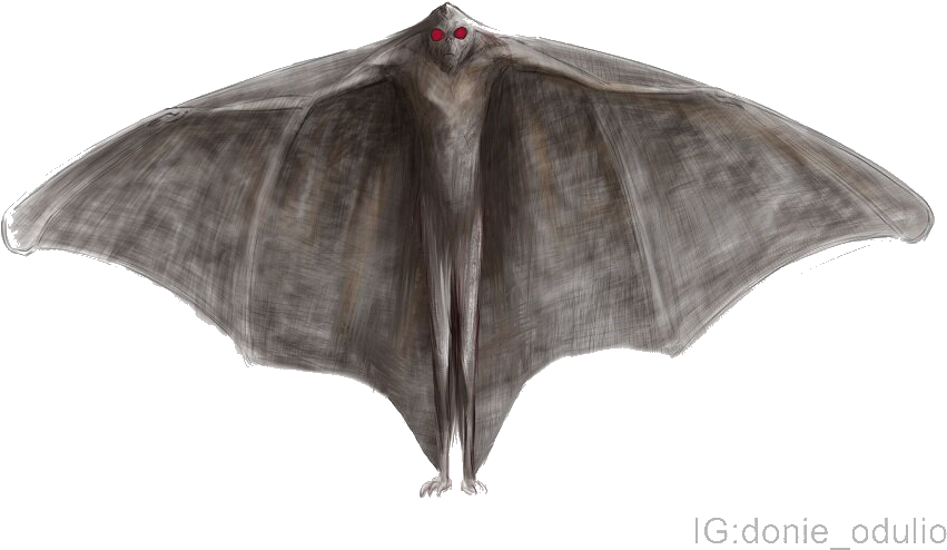 Mothman Cryptid Illustration