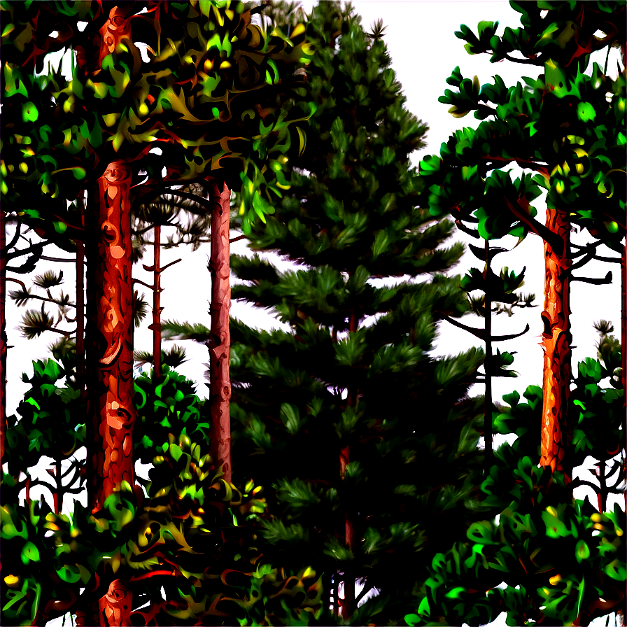 Mountain Pine Trees Png Tww10