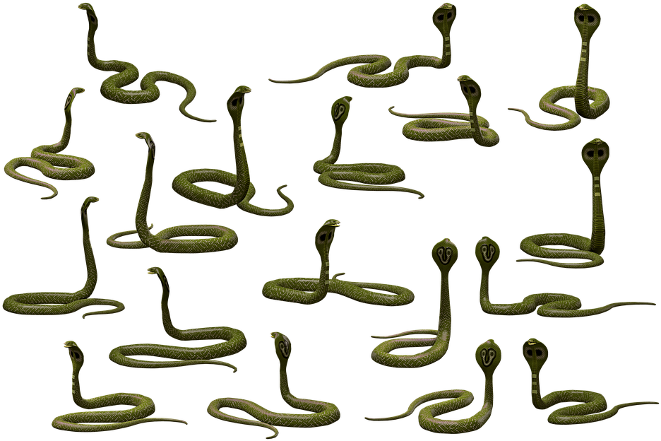 Multiple Cobras Pattern