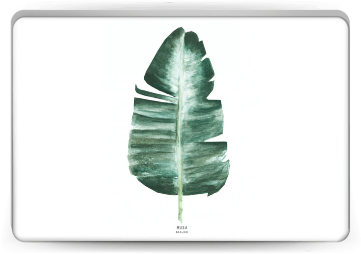 Musa Basjoo Skin Laptop - Leaf, HD Png Download PNG with transparent background
