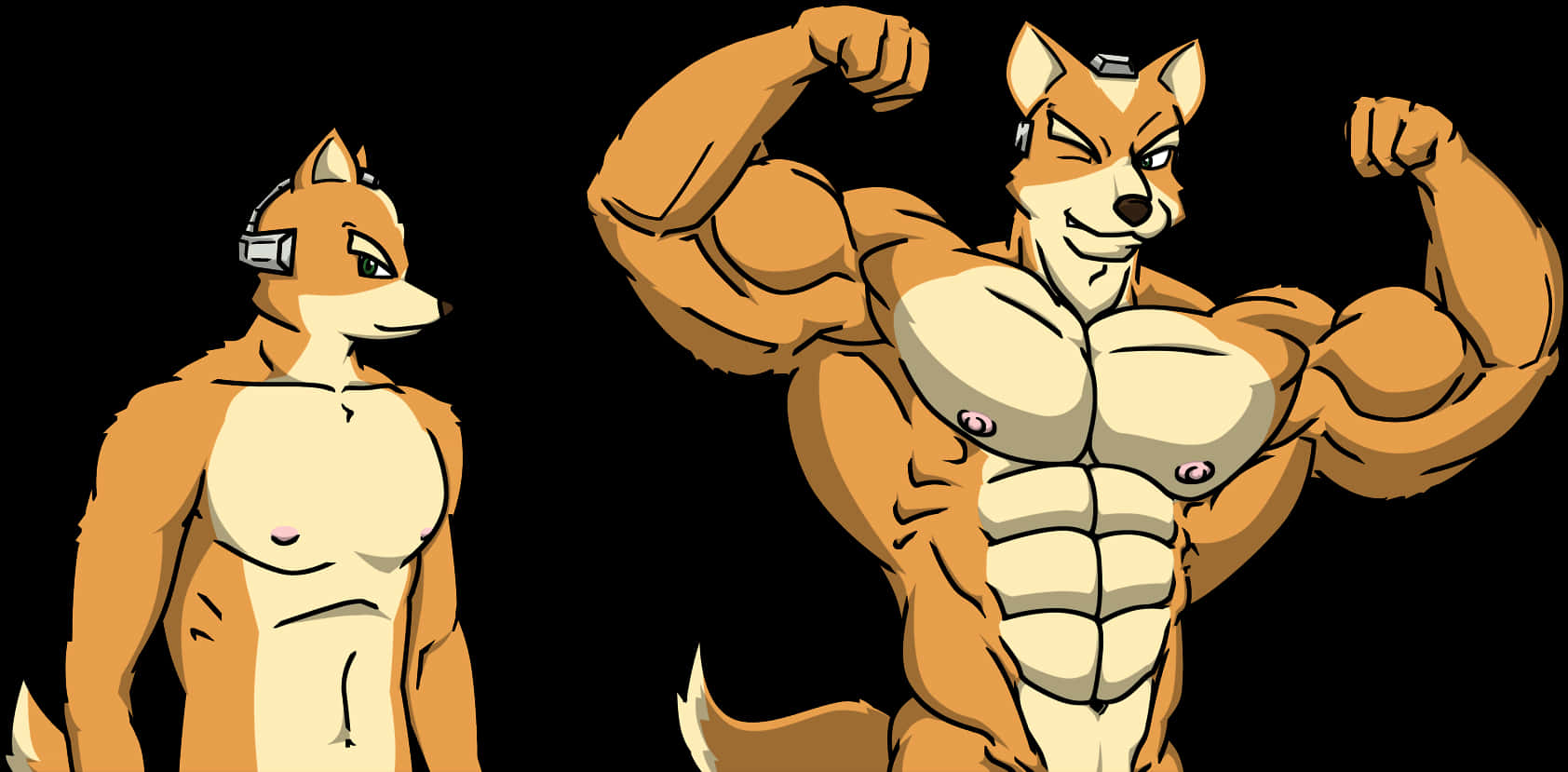 Muscular Anthropomorphic Fox Transformation