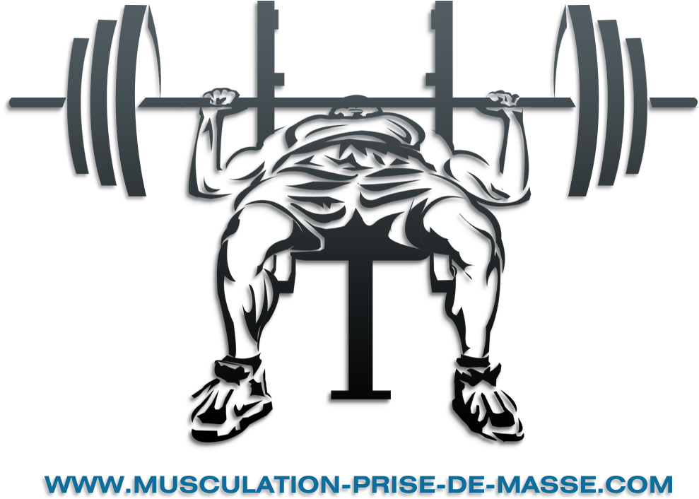 Muscular Bodybuilder Barbell Squat Silhouette