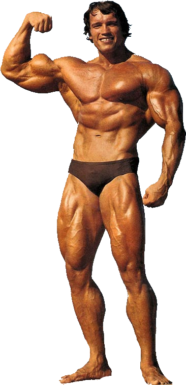 Thumb Image - Arnold Schwarzenegger Bodybuilding Png, Transparent Png PNG with transparent background
