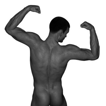 Muscular Male Back Double Biceps Pose