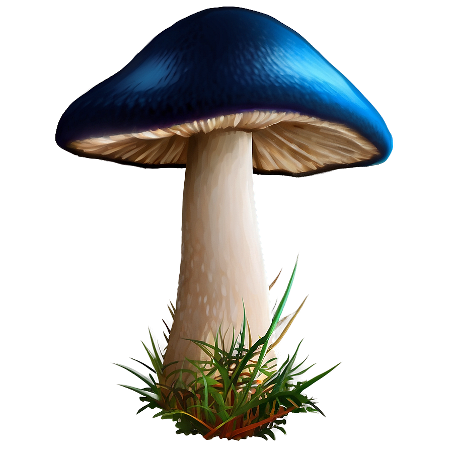 Mushroom A