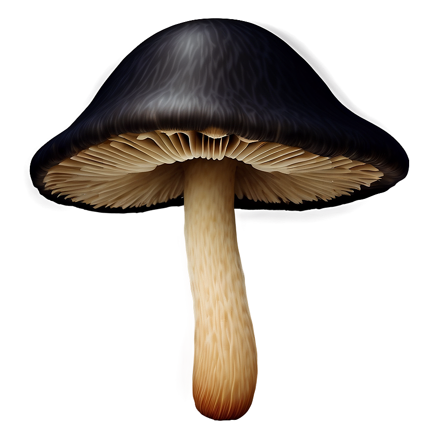 Mushroom Cluster Png 05032024