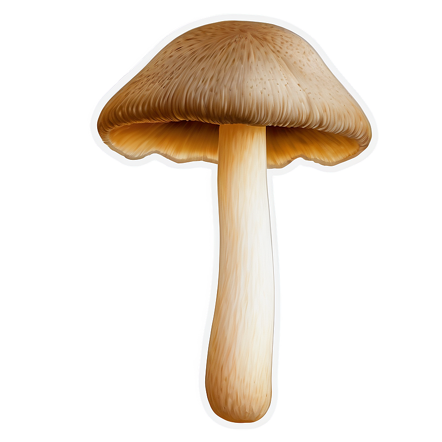 Mushroom Png Clipart 4