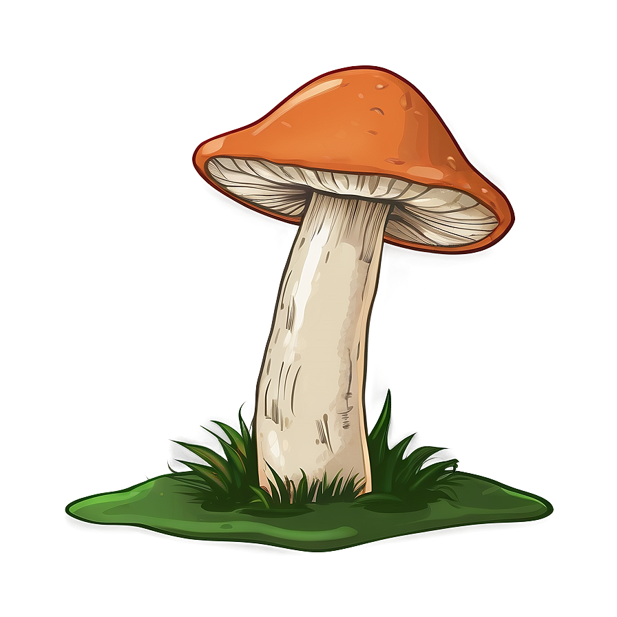 Mushroom Png Sketch 05032024