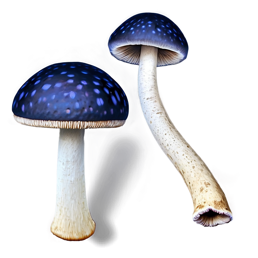 Mushroom Png Texture 84