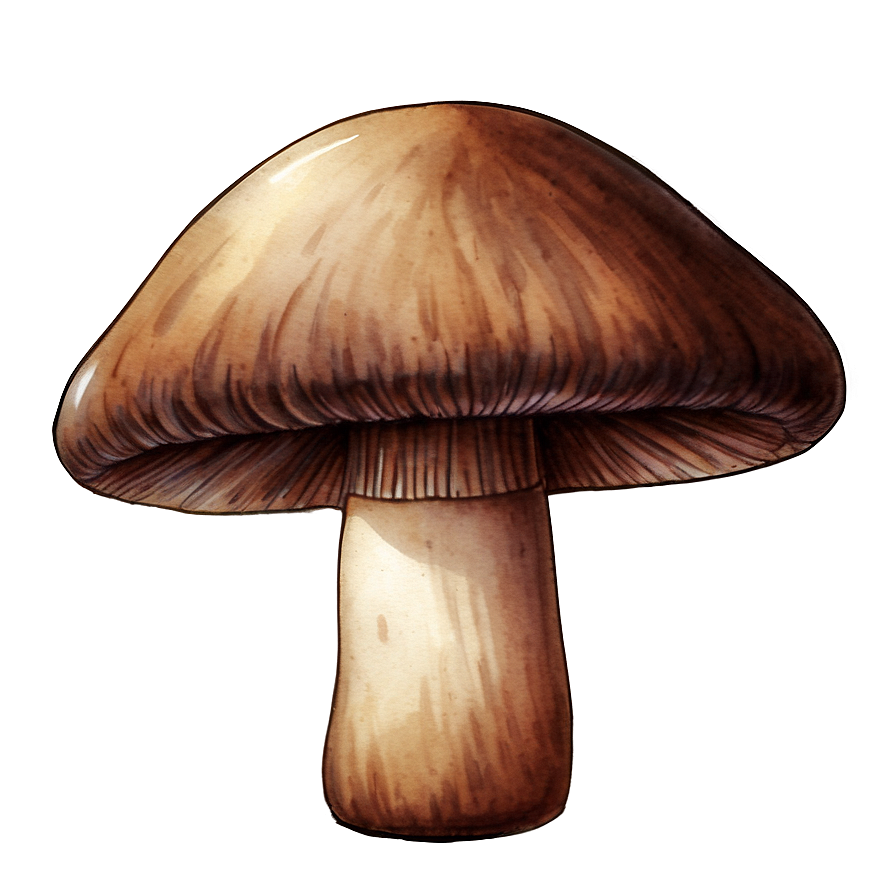 Mushroom Png Watercolor Poj