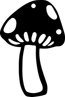 Mushroom Silhouette Black Background PNG with transparent background