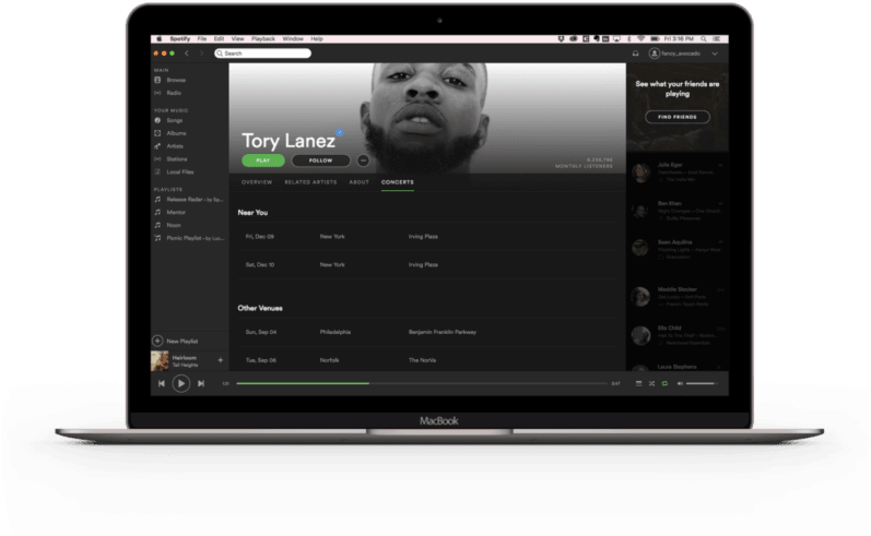 Music Streaming Serviceon Laptop